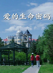 爱的生命密码