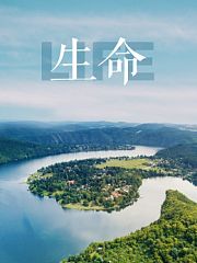 生命