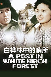 白桦林中的哨所