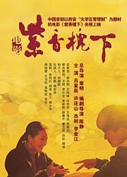 紫香槐下
