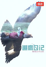 追鹰日记（国语版）