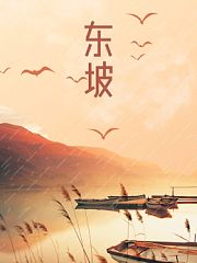 东坡