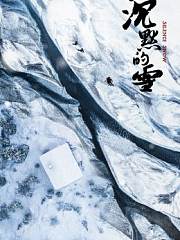 沉默的雪