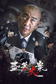 盗墓大案
