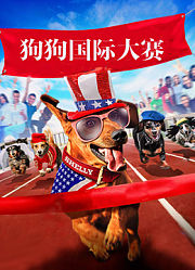 狗狗国际大赛