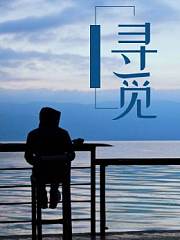 寻觅