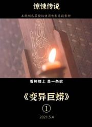 你永远叫不醒一个装睡的人—《变异巨蟒》合集