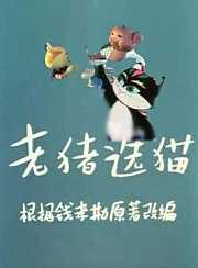 老猪选猫