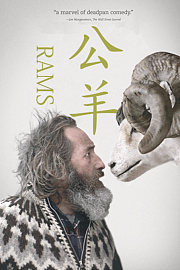 公羊