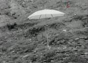雨伞
