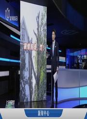 义方人教版数学一年级上册-新课标