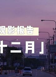 「观影报告·十二月」嘴巴却在养青苔