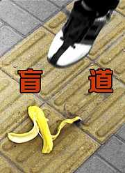 盲道