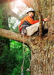 麦田电影院第77期哪啊哪啊神去村