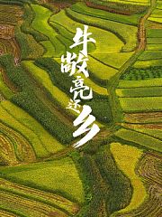 牛敞亮还乡