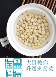 豚鼠镇乐趣三字经1