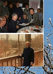 第32集，南怀瑾先生广识天下禅友，来到美国