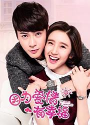 因为爱情有幸福TV版