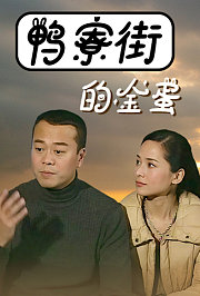 鸭寮街的金蛋