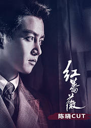 红蔷薇陈晓CUT