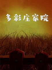 多彩庄家院