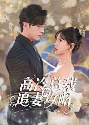 高冷总裁的追妻攻略