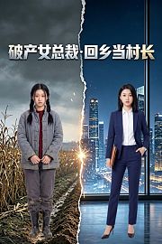 破产女总裁·回乡当村长