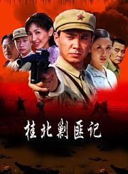 桂北剿匪记