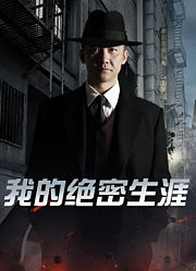 我的绝密生涯40集版