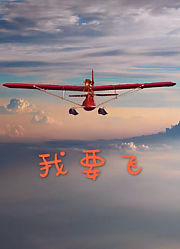 飞向蓝天