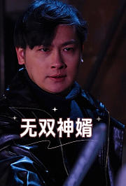 无双神婿