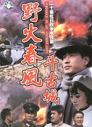 野火春风斗古城(1995)