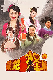 乘龙怪婿第一部
