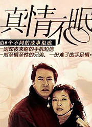 真情不眠