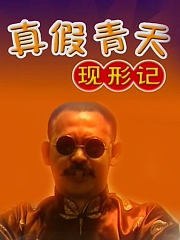 真假青天现形记