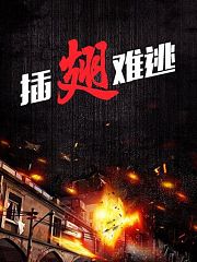 插翅难逃
