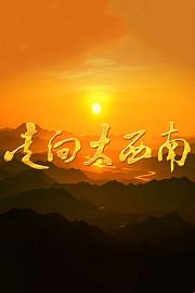 走向大西南