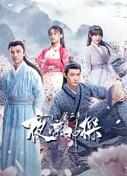 夜凛神探第2季