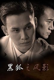 黑狐之风影