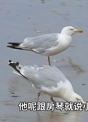 绝密档案：山东莒南复仇案，逼上绝路走上极端的人