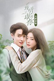 致勇敢的你无障碍版