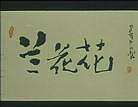 兰花花