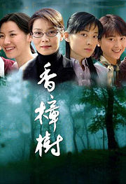 亲情树