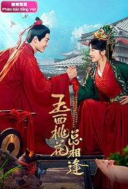 玉面桃花总相逢越南语版