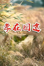 孝在囧途