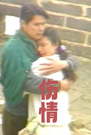 伤情1993