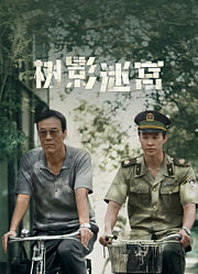 树影迷宫