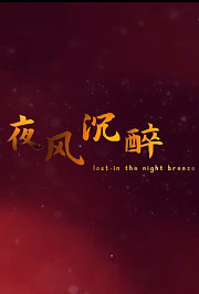 夜风沉醉