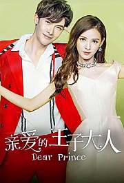 亲爱的王子大人