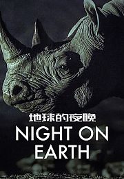 地球的夜晚
